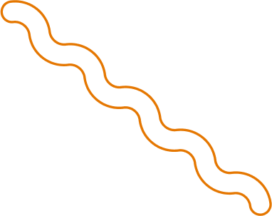 shape