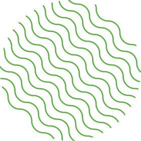 shape